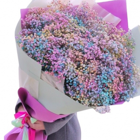  Alanya Flowers Order 35 Renkli Cipsofilya Buket